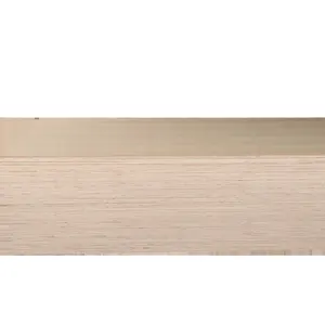 Durable Using Low Finish Price 2.44x1.22 18mm 12mm 27mm Antisplip Marine Birch E0 Shuttering For Pakistan White Color Plywood