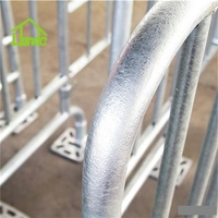 Cage de maternité personnalisable pour truies, directement de l'usine, pour l'élevage porcin