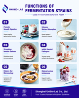 Lactobacillus Plantarum 200B 	 Poudre de probiotiques pour l'équilibre intestinal, favorise une digestion saine, qualité alimentaire, en vrac, marque privée, OEM