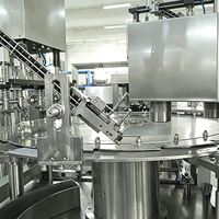 Ligne de remplissage automatique de bouteilles d'eau pure minérale pour animaux de compagnie, machine de remplissage d'eau potable, machine d'emballage de sachets d'eau