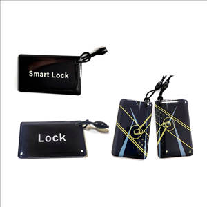 Cửa Thông Minh khóa kiểm soát truy cập Epoxy tag <span class=keywords><strong>Proximity</strong></span> em 125Khz hoặc 13.56MHz IC thẻ RFID Keychain thẻ thông minh - Product Image 1