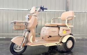 Venta de Fábrica: Nuevo Triciclo Eléctrico Compacto de 3 Ruedas, 48V 20Ah, para Mujeres, Niños y 2 Pasajeros, Modelo 2026 - Product Image 2