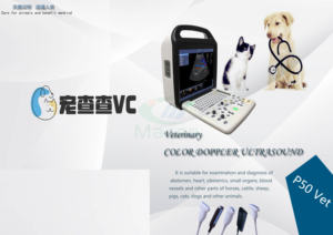 P50Vet Prix le plus compétitif Machine vétérinaire à ultrasons Doppler couleur pour animaux de compagnie <span class=keywords><strong>et</strong></span> grands animaux <span class=keywords><strong>comme</strong></span> les <span class=keywords><strong>chiens</strong></span>, les <span class=keywords><strong>chats</strong></span>, les bovins, les porcs - Product Image 2