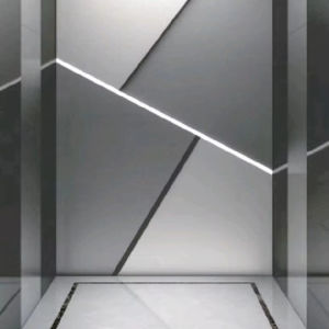 Ascensor de Tracción de Acero Inoxidable para 10 Personas, Precio de Fábrica OTIS, 800 kg, para Uso en Oficinas, con 2 Años de Garantía - Product Image 1