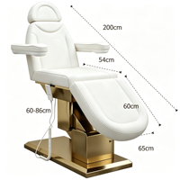 Fauteuil de Salon Électrique Réglable pour Cils et Soins du Visage, 3 Moteurs, Fauteuil Inclinable de Beauté, Lit de Massage Nude – Nouveauté !