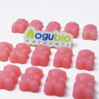 Gummies Probiotiques et Postbiotiques en Gros pour Adultes - Bacillus Coagulans, GOS, Inuline, Arabinogalactane pour la Santé Intestinale - Qualité Alimentaire
