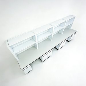 Arredamento da Laboratorio: Banco da Laboratorio con Porta-Reagenti e Armadietti a Muro. - Product Image 4