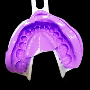 2023 silicone impression putty dentures prices