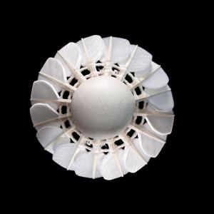 LING MEI 90PRO BWF (12 pièces) Volants de badminton en plumes d'oie, vente en gros, volants de badminton LING MEI 90 PRO pour les tournois - Product Image 3