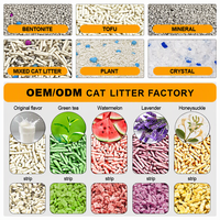 Litière pour chat en tofu écologique, haute absorption, faible poussière, facile à ramasser, jetable aux toilettes, vente en gros pour les animaleries et les distributeurs