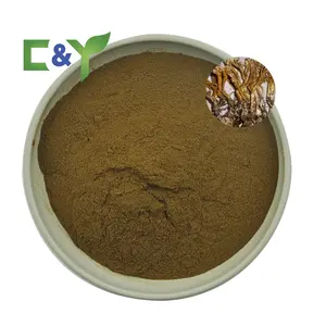 Ordyceps-Polvo de tijera de ciecadae, extracto de polvo de calidad op