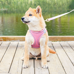 เสื้อกั๊กไนลอนแบบมีสายรัดปรับระดับโลโก้และดีไซน์เนอร์สำหรับสุนัข/แมวเป็นมิตรกับสิ่งแวดล้อม - Product Image 1