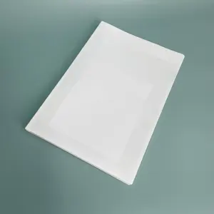 Eco Friendly PP File Folder White A4 Plastic Document Folder With 2 Template Pockets PP Plastic File Binder For Office