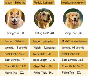 Nuevo Impermeable Reflectante XXL para Perros Grandes, Labrador, Golden Retriever, Husky, Satsuma, Sostenible, Moderno, para Todas las Estaciones - Product Image 2