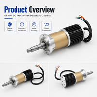 Motor DC Planetary Gear Kustom 66mm 24V 48V Torsi Tinggi Kecepatan Rendah untuk Peralatan Otomasi Produsen OEM ODM