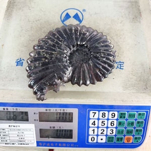 Piedra de cristal curativa de Caracol fósil de amonita negra, artesanía mineral creativa de buena calidad Natural al por mayor para Decoración - Product Image 6