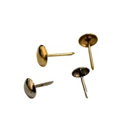 Clous décoratifs ronds en fer doré avec tête à capuchon et tige lisse pour meubles, canapés, matériaux de construction, emballés en carton