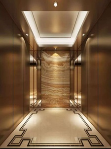 Ascenseur hydraulique multifonctionnel au design moderne Ascenseur d'appartements fabriqué en Chine - Product Image 2