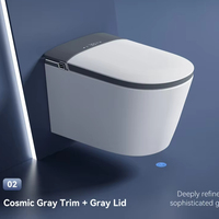 Toilette intelligente murale de haute qualité fabriquée en Chine, en céramique sans bride, avec siphon électrique, toilette intelligente
