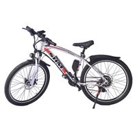 Nouveau modèle économique de vélo électrique, moteur de vélo électrique neuf de 1000W