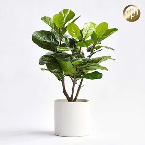 Set of Two Top Quality Multiple Shapes Flower Pot Luxurious Bonsai Garden Decorative Metal Flower Planter