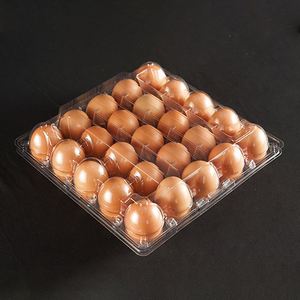 25 Holes Clear <b>Plastic</b> Egg <b>Tray</b> Medium Size Clear <b>Plastic</b> Egg Cartons Free Samples - Product Image 3