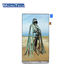 Módulo LCD de 5,5 pulgadas personalizado portátil 720x1280 MIPI IPS Panel TFT pantalla para ventilador médico - Product Image 1