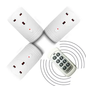 adio Sockets with Remote Control,2500W, Plug & Play Radio Switch, Programmable and Expandable,50 m Range