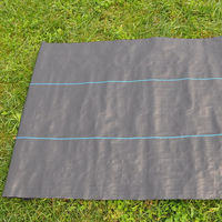 PP Tissé Membrane PE Couvre-sol Maille Tapis De Mauvaises Herbes Rouleau Anti Herbe Contrôle Tissu Bloqueur Paillis Film