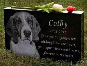 Monument commémoratif personnalisé moderne en granit naturel noir <span class=keywords><strong>pour</strong></span> chat et chien, sculpture en pierre polie sculptée à la main <span class=keywords><strong>pour</strong></span> <span class=keywords><strong>cimetière</strong></span>, style européen du XXe siècle - Product Image 5