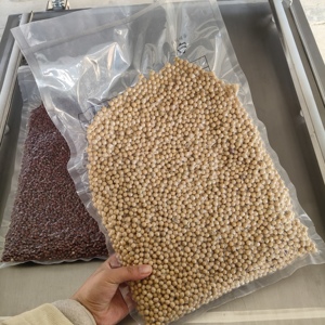 Macchina per il Confezionamento <span class=keywords><strong>Sottovuoto</strong></span> Commerciale a Camera Singola in Acciaio Inox per Carne, Frutti di Mare e Formaggi - Product Image 3