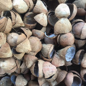 Coquille de noix de coco crue pour la fabrication de charbon de bois Vietnam origine 15% humidité emballage en vrac très bon marché pur expédition rapide déchets agricoles - Product Image 1