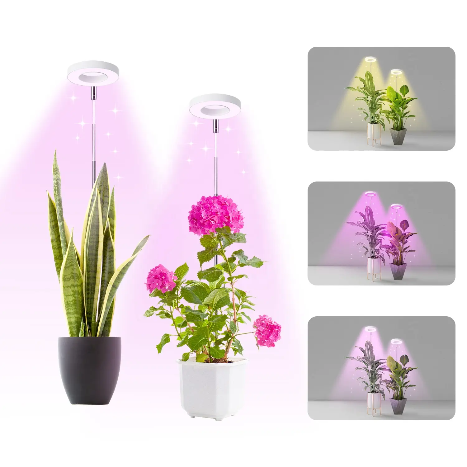 屋内植物用のホットセールアングルリングLED植物成長ライト、10調光可能、3/9/12Hタイマー赤青黄色ライトハローリンググローライト
