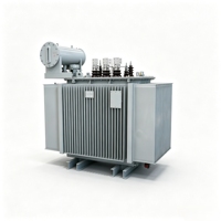 Transformateur immergé dans l'huile 2500 kVA 10 kV S22 triphasé abaisseur de tension 10000 V à 400 V pour distribution extérieure