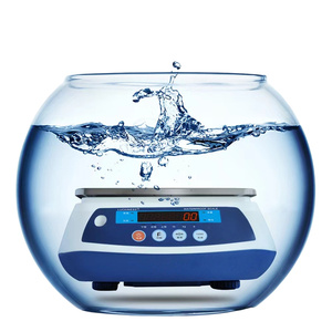 Báscula Electrónica Impermeable IP68 Veidt, Báscula Digital para Conteo de Pescado, Mariscos y Alimentos, ACS-704, Báscula Electrónica Impermeable IP68 - Product Image 5
