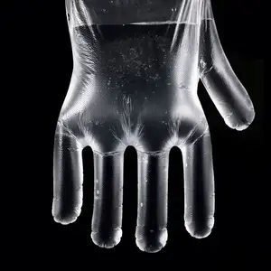 Disposable Tran#Parent Gloves Disposable Glove Manufacturer