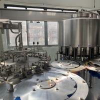 Ligne de production d'eau en bouteille entièrement automatisée avec remplissage PET et mini-usine minérale pour l'emballage de l'eau potable