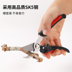 Tijeras de podar Pinheng de acero inoxidable con hojas de 180 mm y 210 mm de longitud para podar árboles frutales, bonsáis y jardines. - Product Image 4