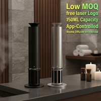 Diffuseur de musique en métal de luxe, humidificateur d'aromathérapie à brume silencieuse, alimenté par batterie, contrôlé par application, audio sans fil électrique de bureau