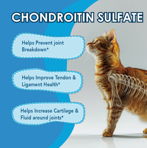 <strong>Pet</strong> Immune Support Health Dogs <strong>Pet</strong> <strong>Supplements</strong> Natural Soft Chews with High Colostrum - Product Image 5