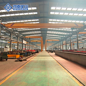 Gru a ponte elettrica monotrave con telecomando a scatola personalizzata - Product Image 5