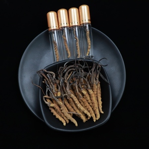 Hongos <span class=keywords><strong>de</strong></span> oruga china, cordyceps, wilde, cordyceps, sinensis, planta completa, sinensis, mycelium - Product Image 4