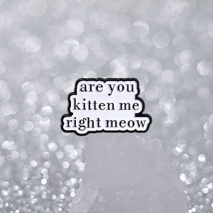 Sind Sie Kitten Me Right Meow Emaille Pins Nette Katze Zitate Broschen Rucksack Revers Abzeichen Lustige Schmuck Geschenk für Freunde Großhandel - Product Image 3