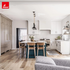 AllandCabinet New York Portes coulissantes pour villas, qualité Mbf Board, armoires de <span class=keywords><strong>cuisine</strong></span> fines de style shaker avec charnières à fermeture douce - Product Image 2