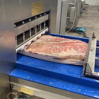 Machine à trancher la viande congelée industrielle de qualité supérieure, en acier inoxydable 400, pour l'industrie alimentaire