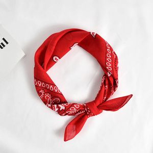 Fazzoletto da <span class=keywords><strong>uomo</strong></span>, Fascia per capelli da <span class=keywords><strong>uomo</strong></span>, Fazzoletto quadrato da cowboy, Fascia per capelli, <span class=keywords><strong>Bandana</strong></span> Paisley - Product Image 4