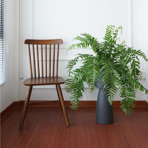 Kit de maceta alta minimalista simple, maceta redonda mate <span class=keywords><strong>para</strong></span> el hogar, sala de estar, balcón, decoración de jardín, Kit de plantación al por mayor - Product Image 5