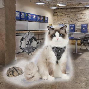 Set Harnesses Hewan Peliharaan Mewah yang Dapat Disesuaikan, Lembut, Nyaman, Reflektif, Tali Dada Anjing, Rompi Bernapas, Terbuat dari Polyester - Product Image 2