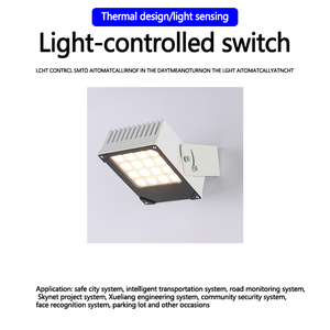 16W al aire libre impermeable IP65 LED noche monitoreo luces de inundación cuerpo de aluminio accesorios de vigilancia para aplicación en carretera - Product Image 4