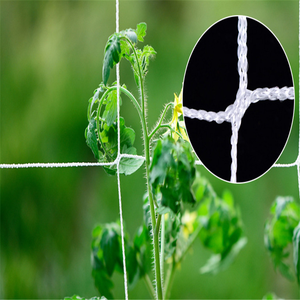 Bitkiler için en iyi satış <span class=keywords><strong>Uv</strong></span> stabilize tırmanma ağı - Product Image 1